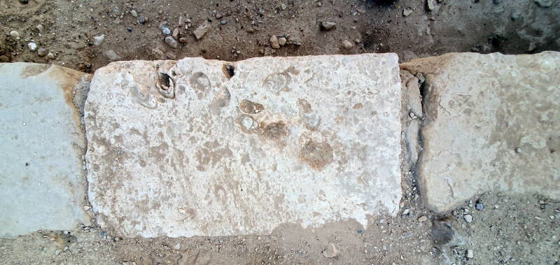 Zoals deze fossiel laat zien, heeft hier in de oudheid water gestaan