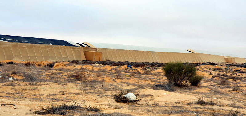 Hier op de woestijngrond, groeit het beste en onbespoten, dus gifvrij fruit en groente!