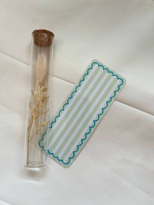 BL22 - Minty Stripes
