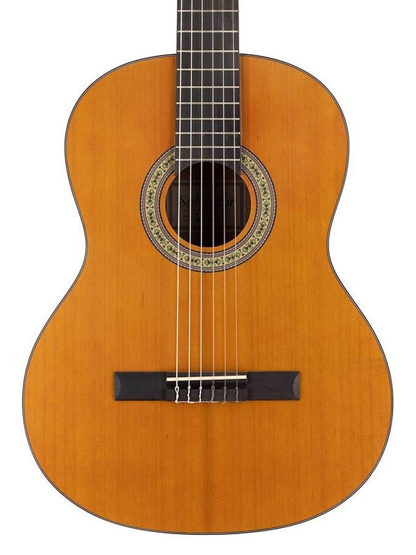 Guitarra Estruch 800