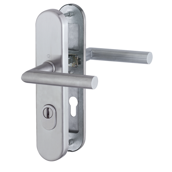 Achterdeurbeslag Kerntrekbeveiliging RVS