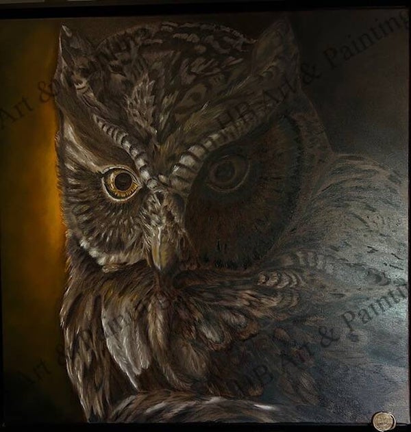 The Owl's Gaze