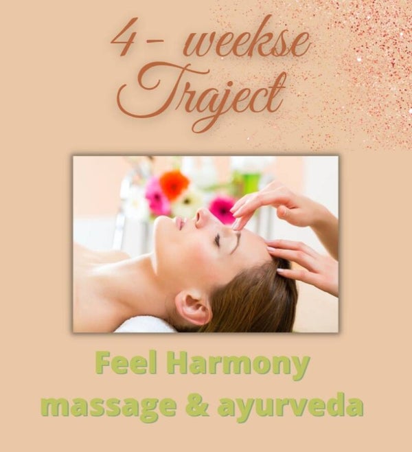 Klachtgerichte Traject - 4 behandelingen (30 min)