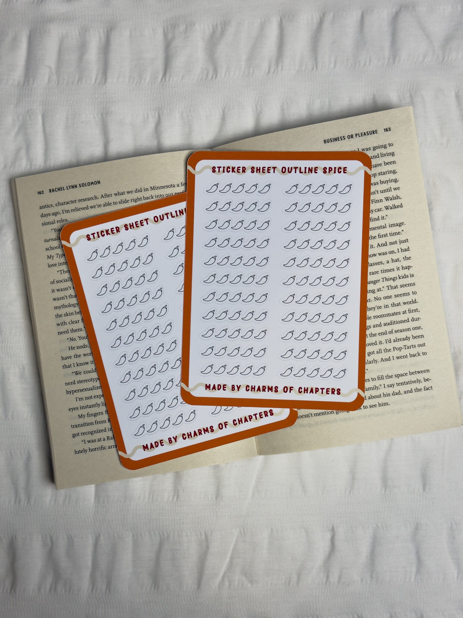 Sticker Sheet Outline Spice