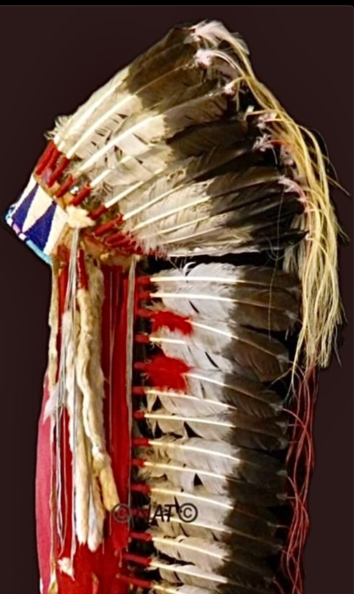  Plains Indian War Bonnet | Native American Headdresses 
