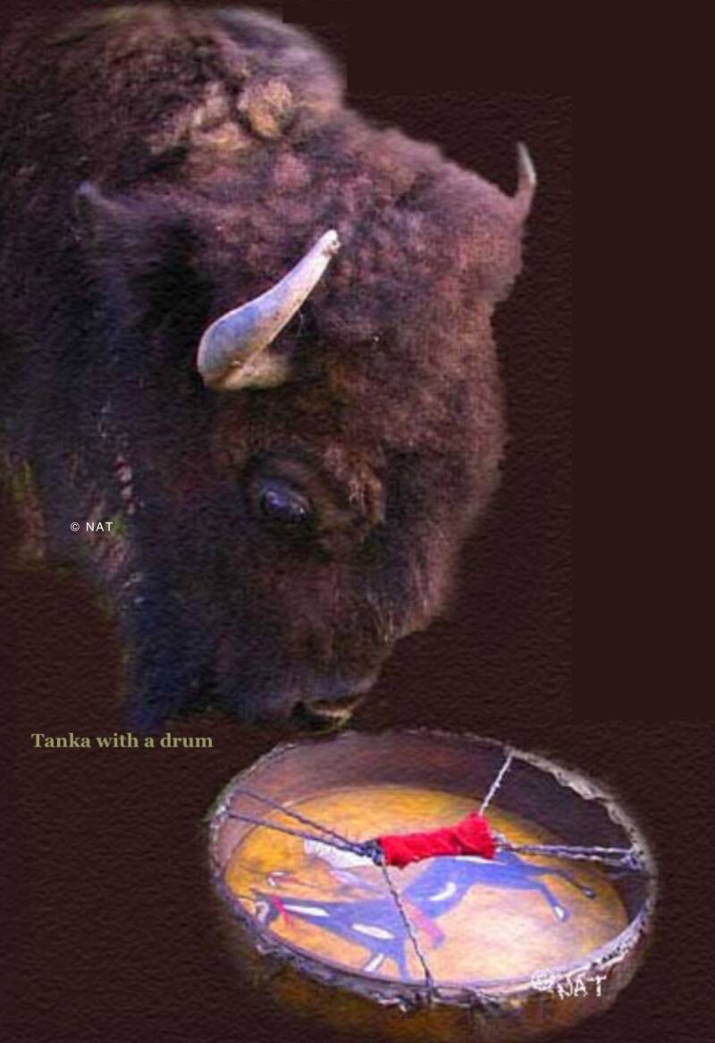 Tanka with Plains Indian  Drum