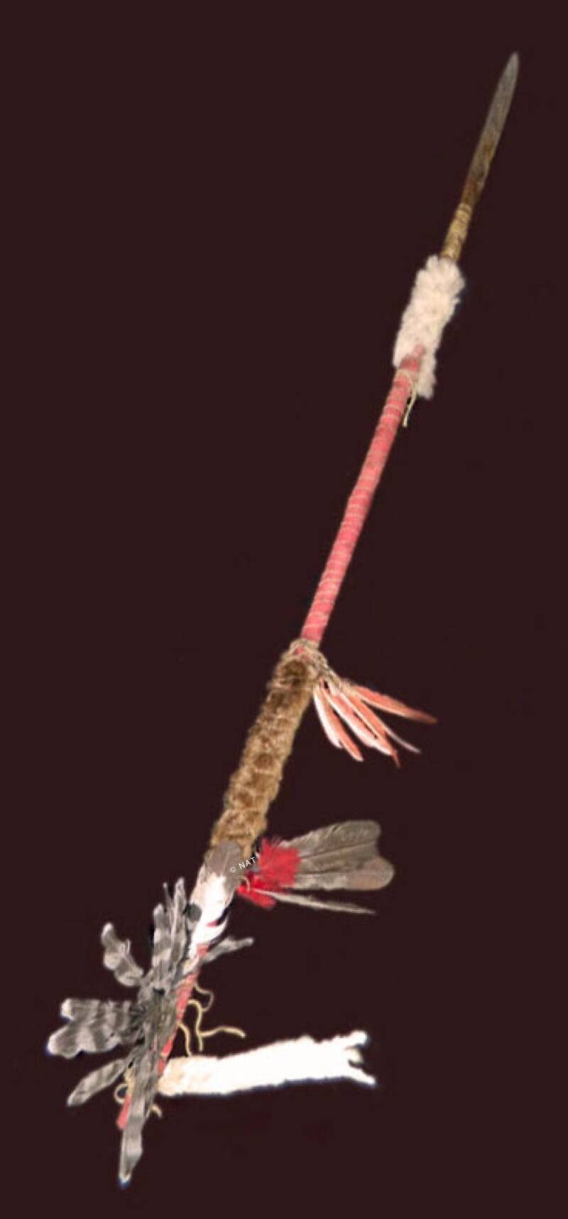 Northern Cheyenne Lance