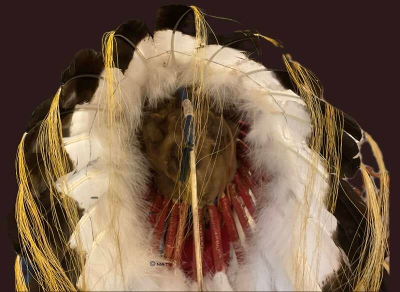 Back of Sioux Headdress