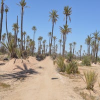 img_5406-standard-s1ouip.jpg