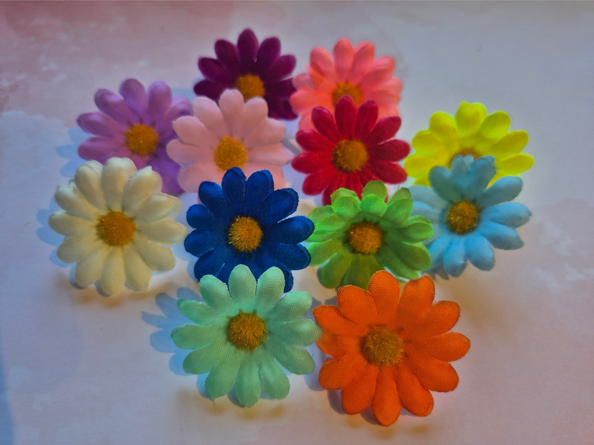 Madeliefjes – per stuk (± 4 cm)