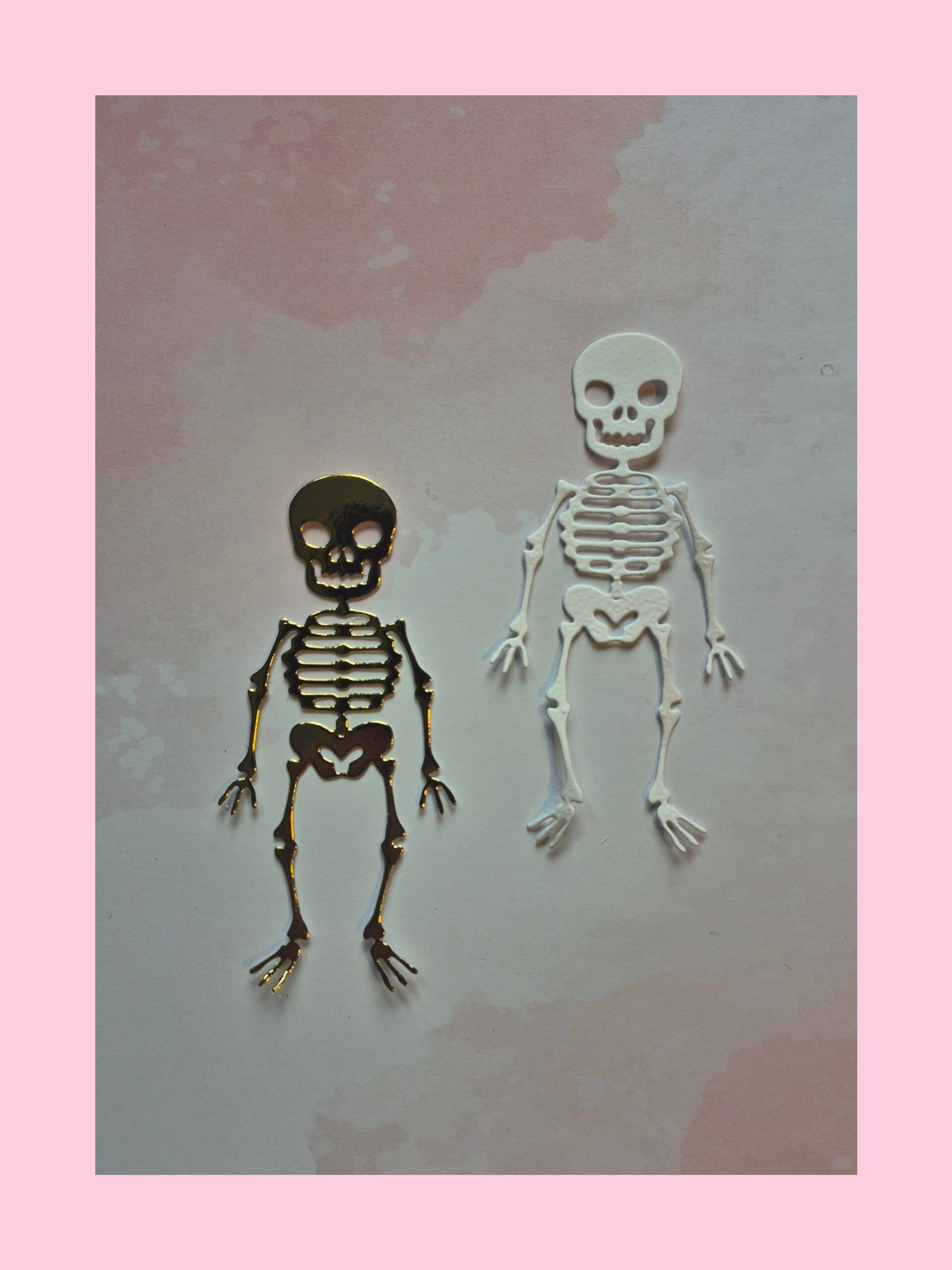 Skelet