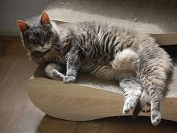 30 minuten sparren (telefonisch)