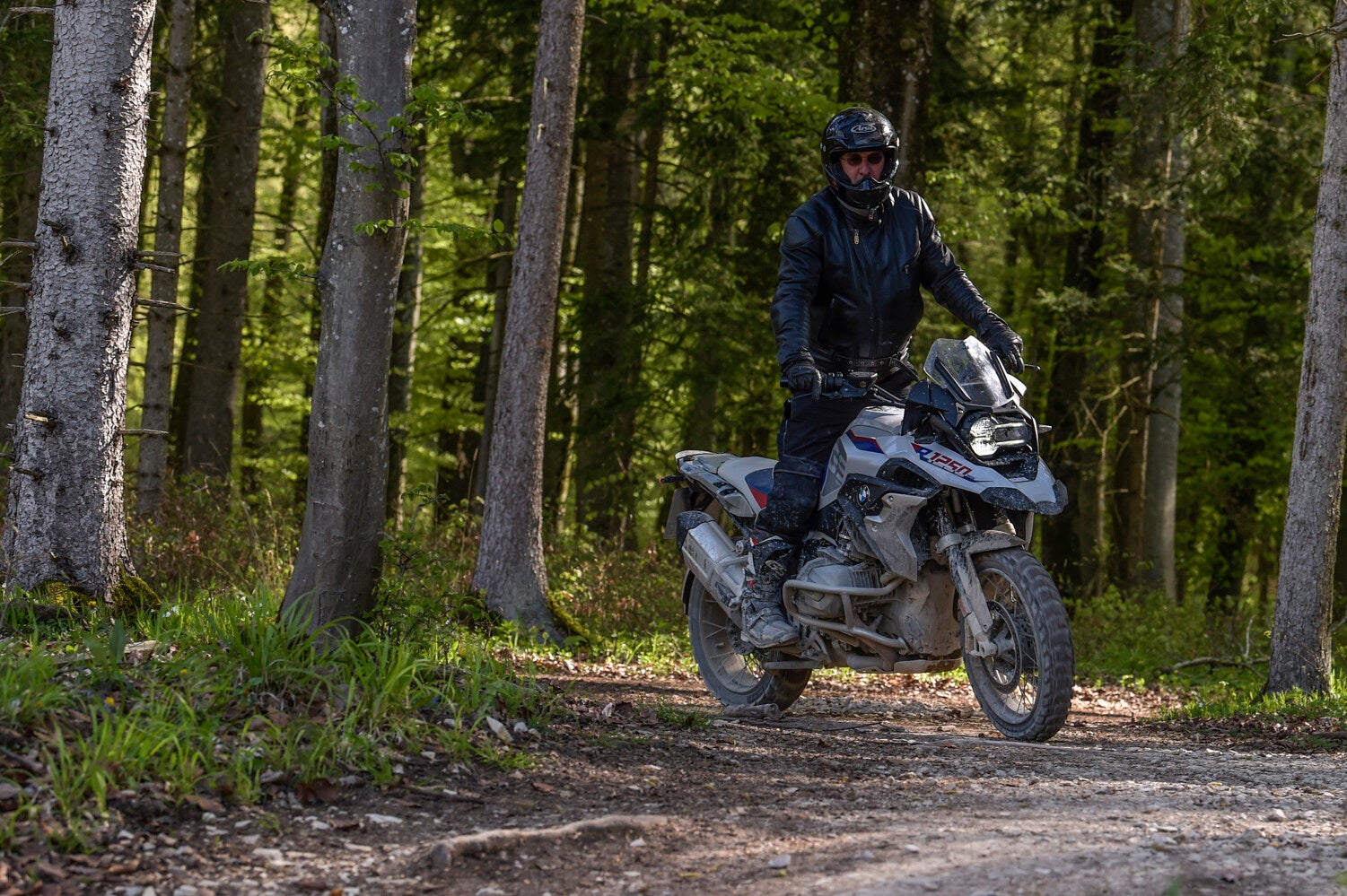 _dsc7181-1.jpg