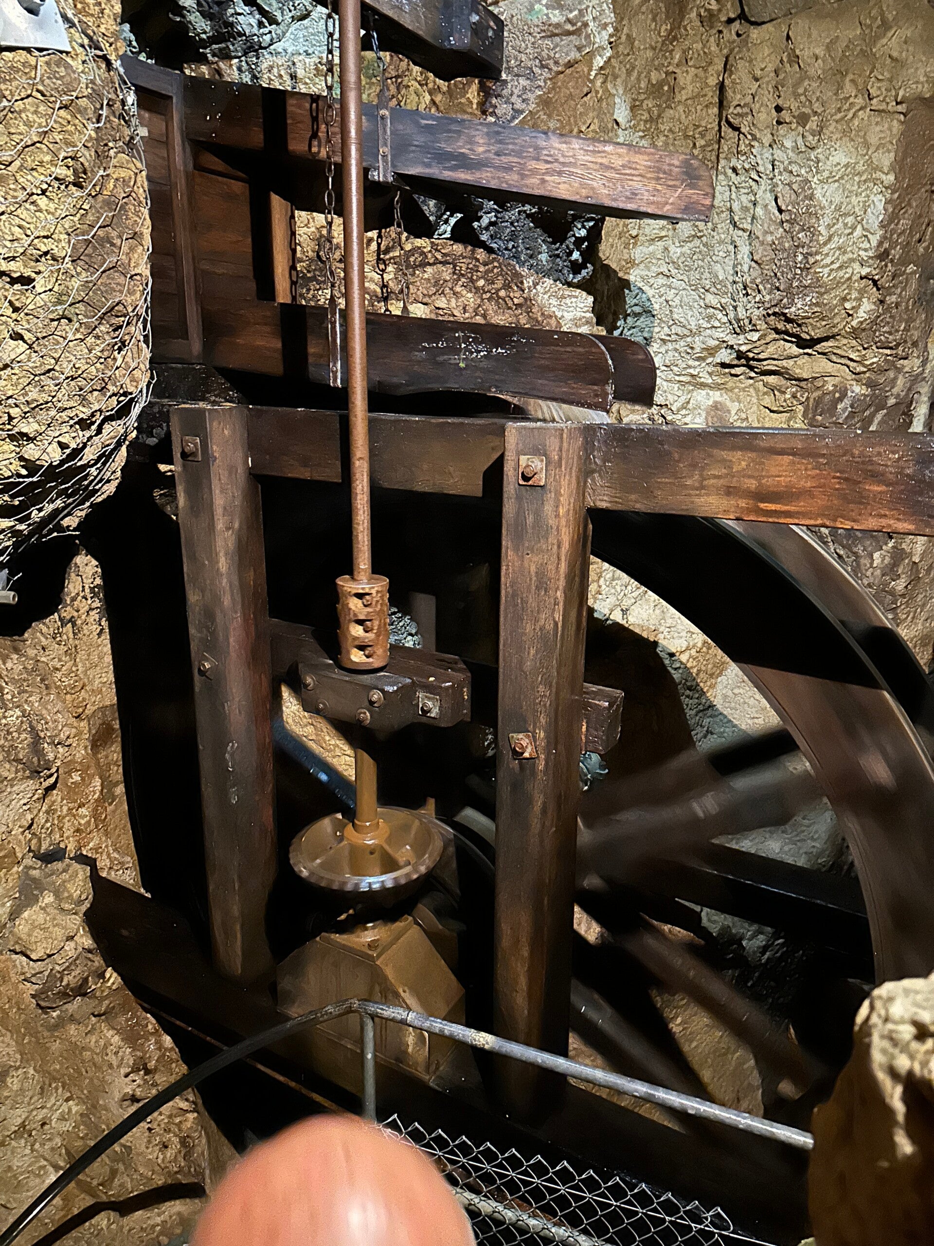 img_7591-standard.jpg