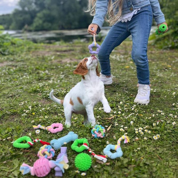 Puppy Chew Toys, 6 Pcs Teething for Small Breed, Soft Rubber Cute Green Dog Toys, Eco-Friendly, Teeth Cleaning, Interactive Tiny Toys for Small Dog,(Basket not Included)