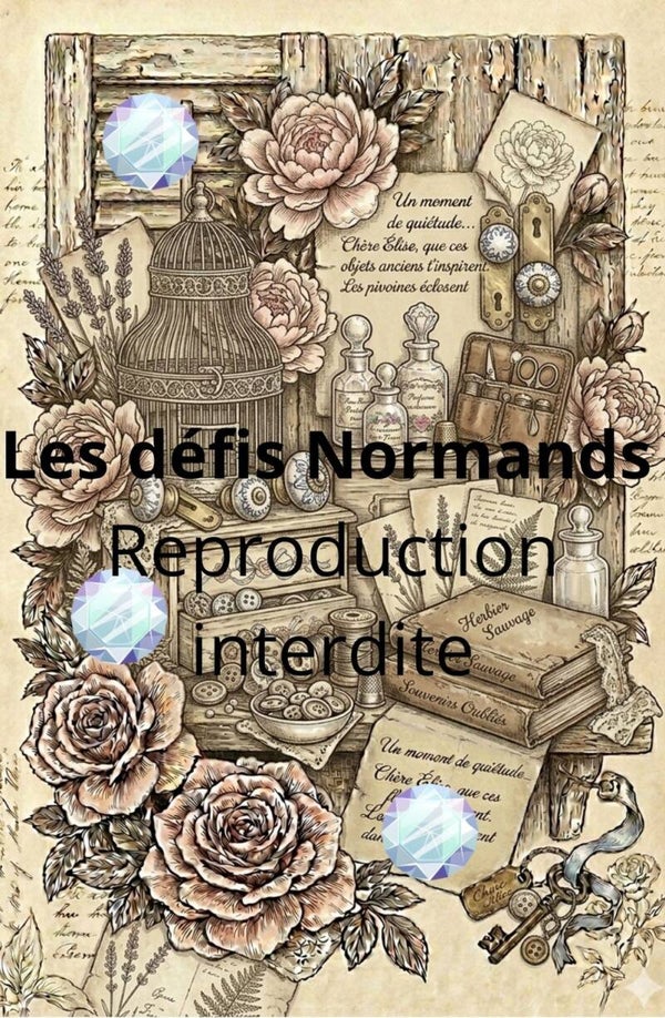 Défi Shabby Retro