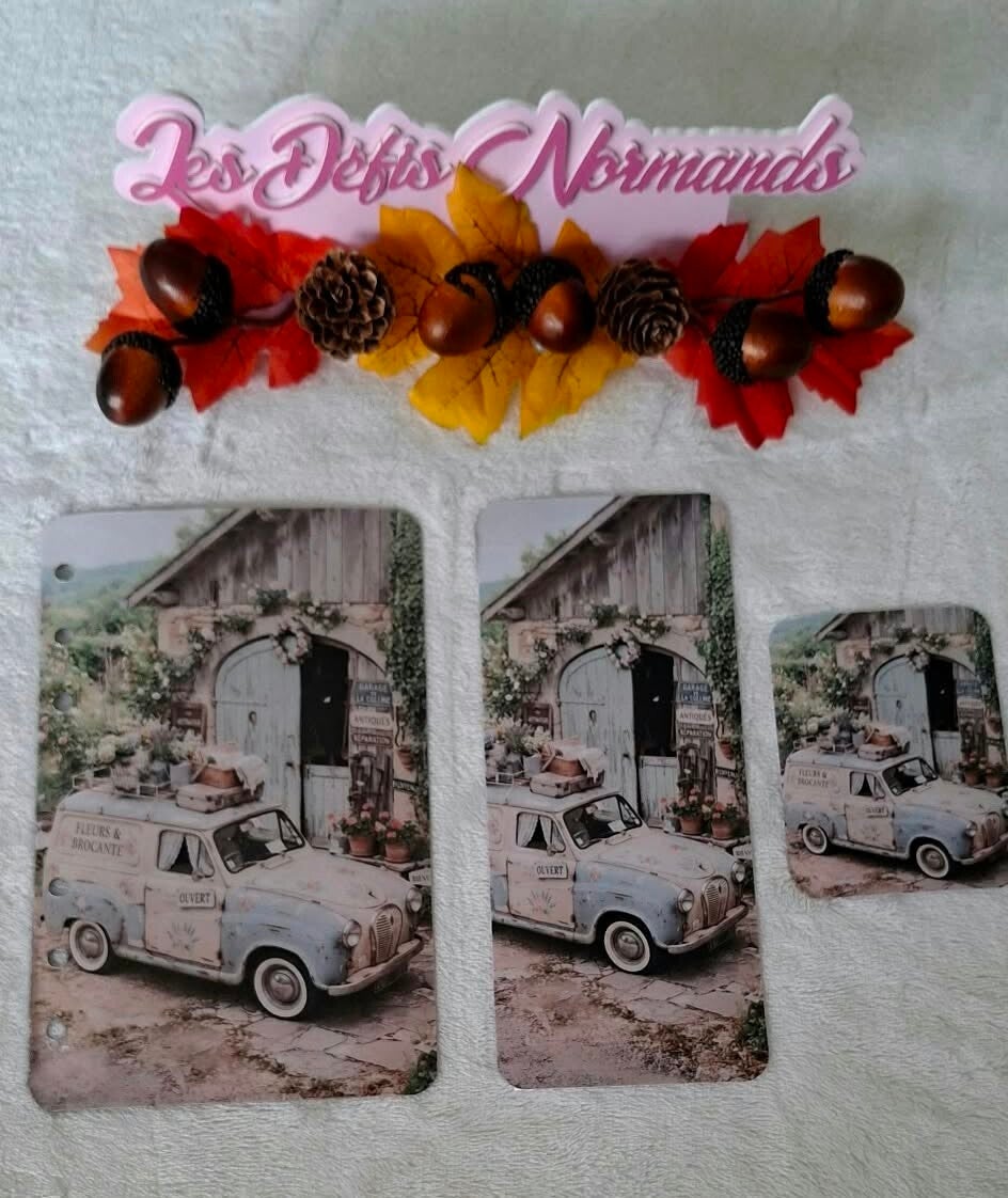 4L fleurs et Brocante