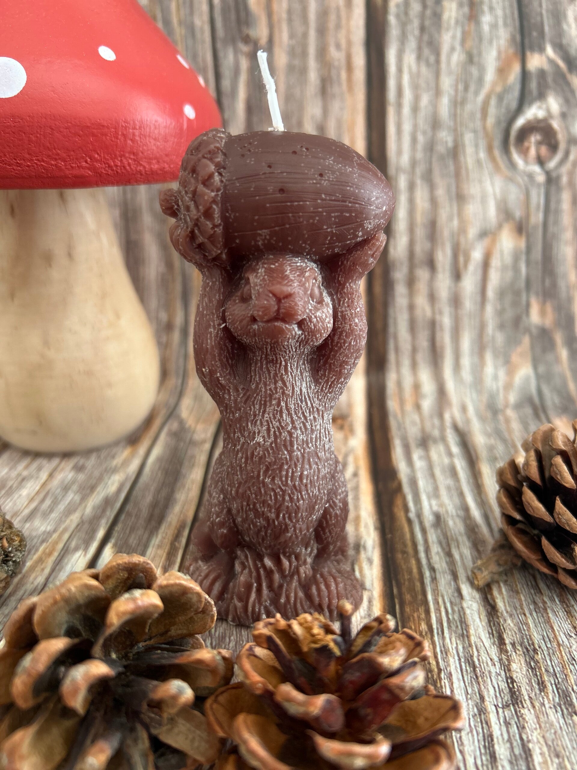 Eichhörnchen mit Eichel