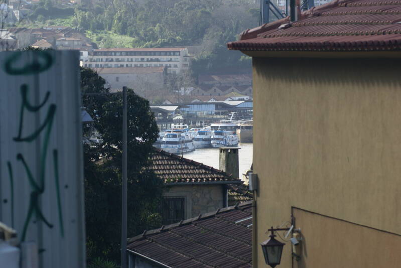 dsc04133-standard-myvz6q.jpg