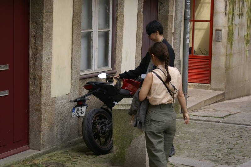 dsc04973-standard-td95q8.jpg