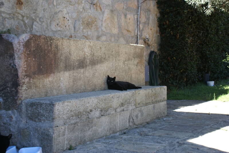 dsc05573-standard-69wvlz.jpg