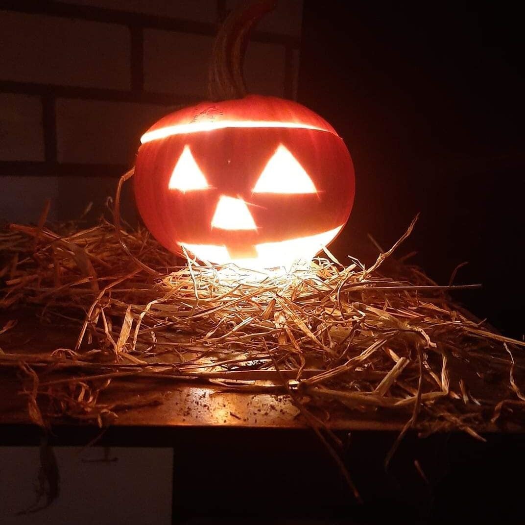 halloween-standard.jpg