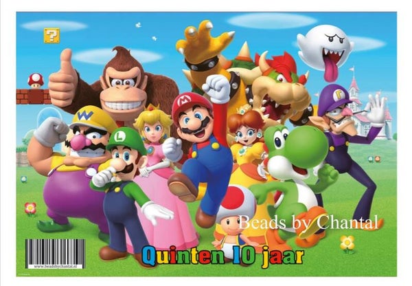 Super Mario chips zakje 1