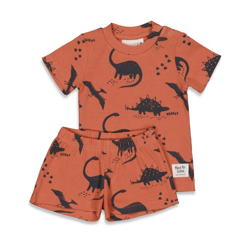 Feetje shortama Dino Dale