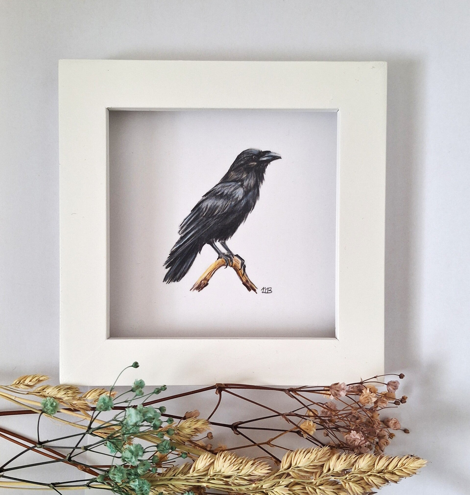 Raaf - Raven