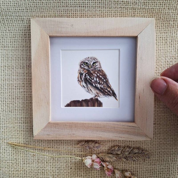 Kleine uil
