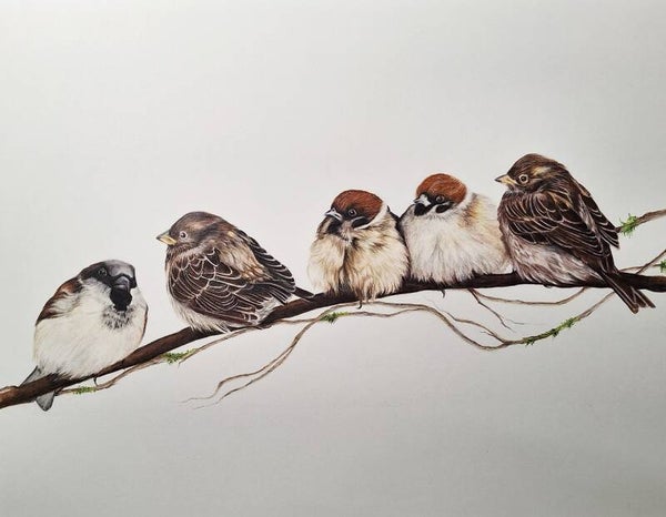 Baby birds on a branch