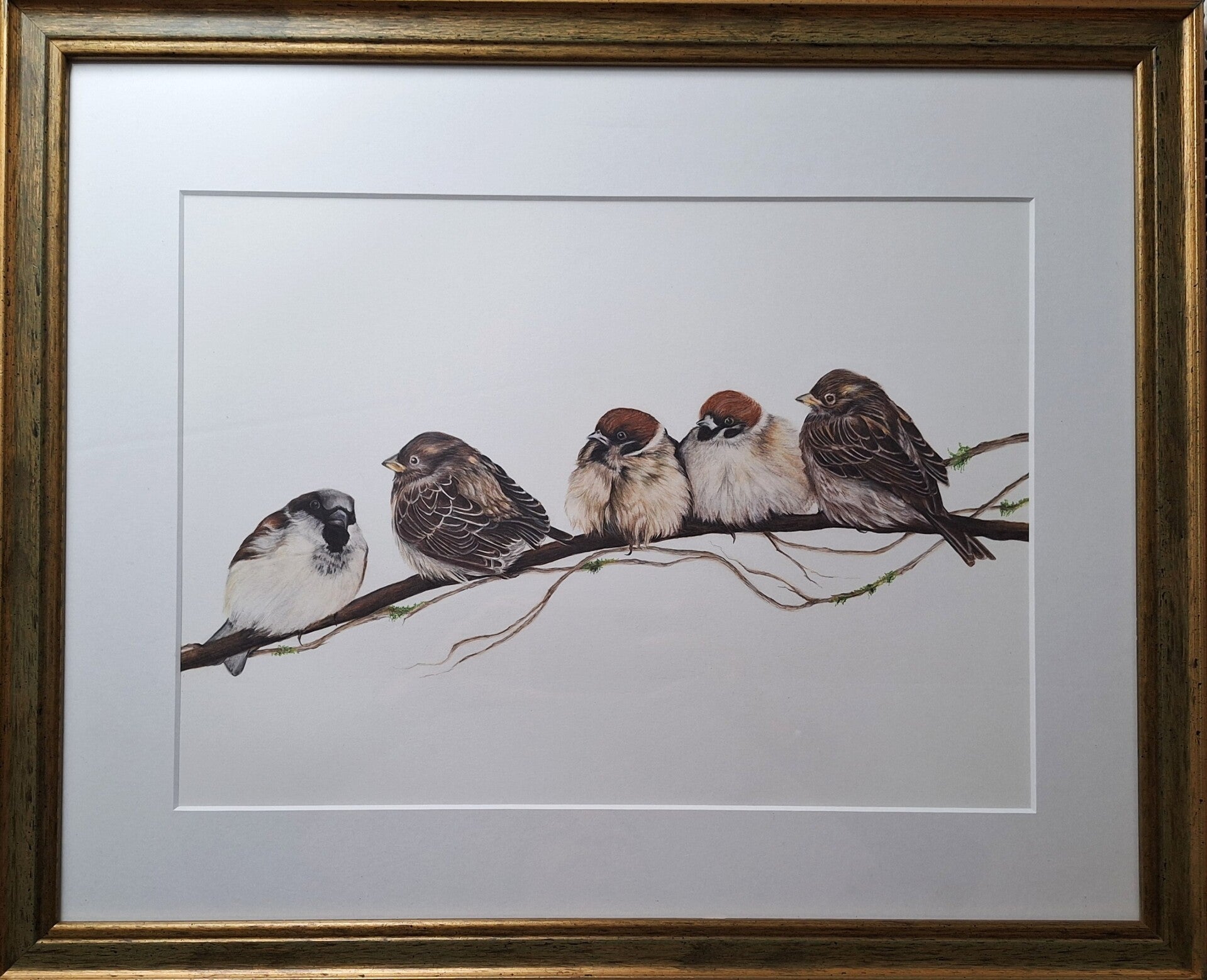 Baby birds on a branch