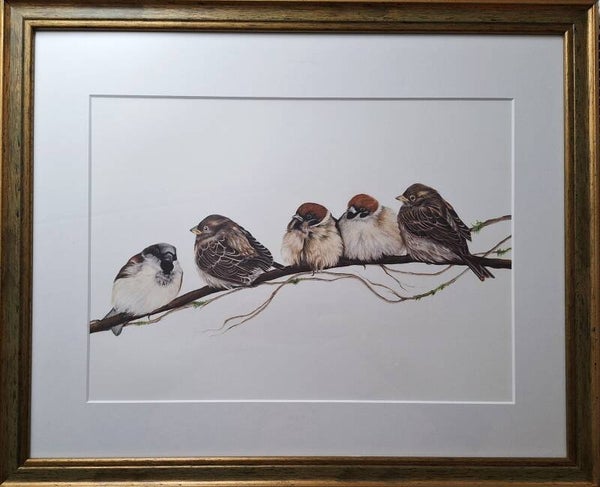 Baby birds on a branch