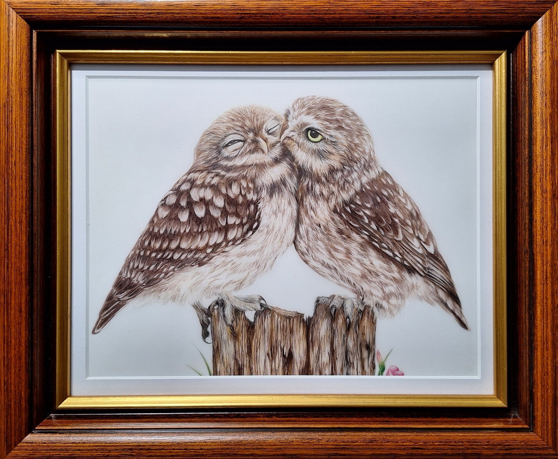 Knuffelende uilen - Kissing owls