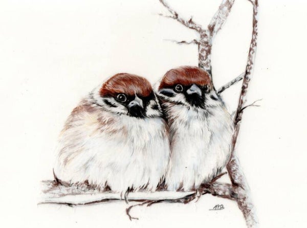 Lekker samen -