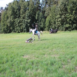 img-2972-standard-q6u5ta.jpg