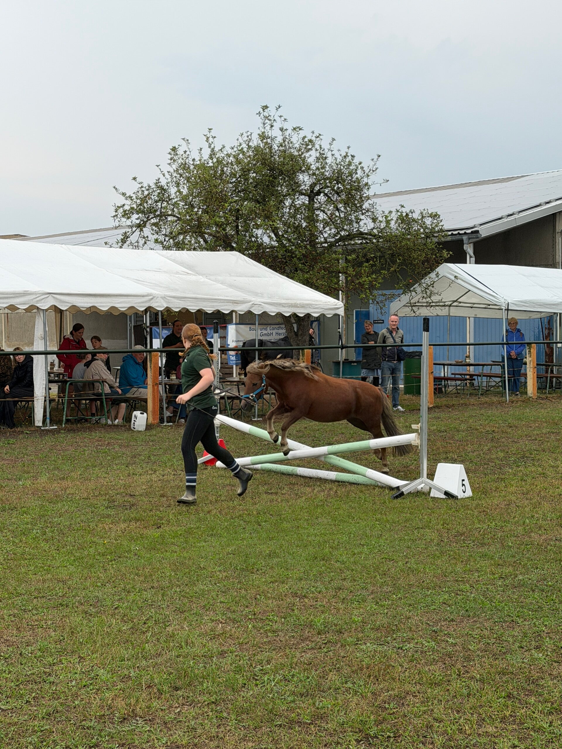 img_5628-standard.jpg