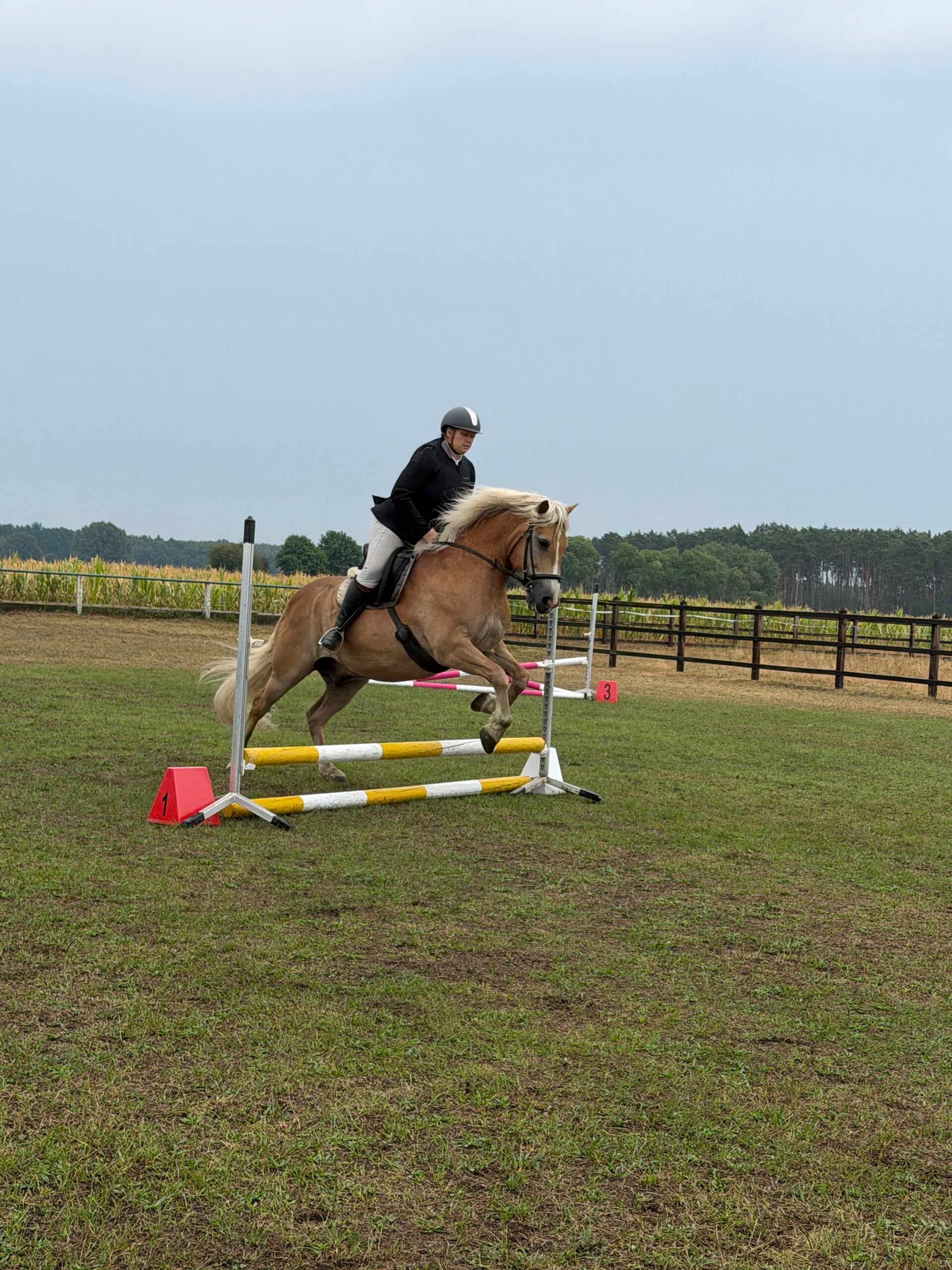 img_5682-standard-le7vtj.jpg
