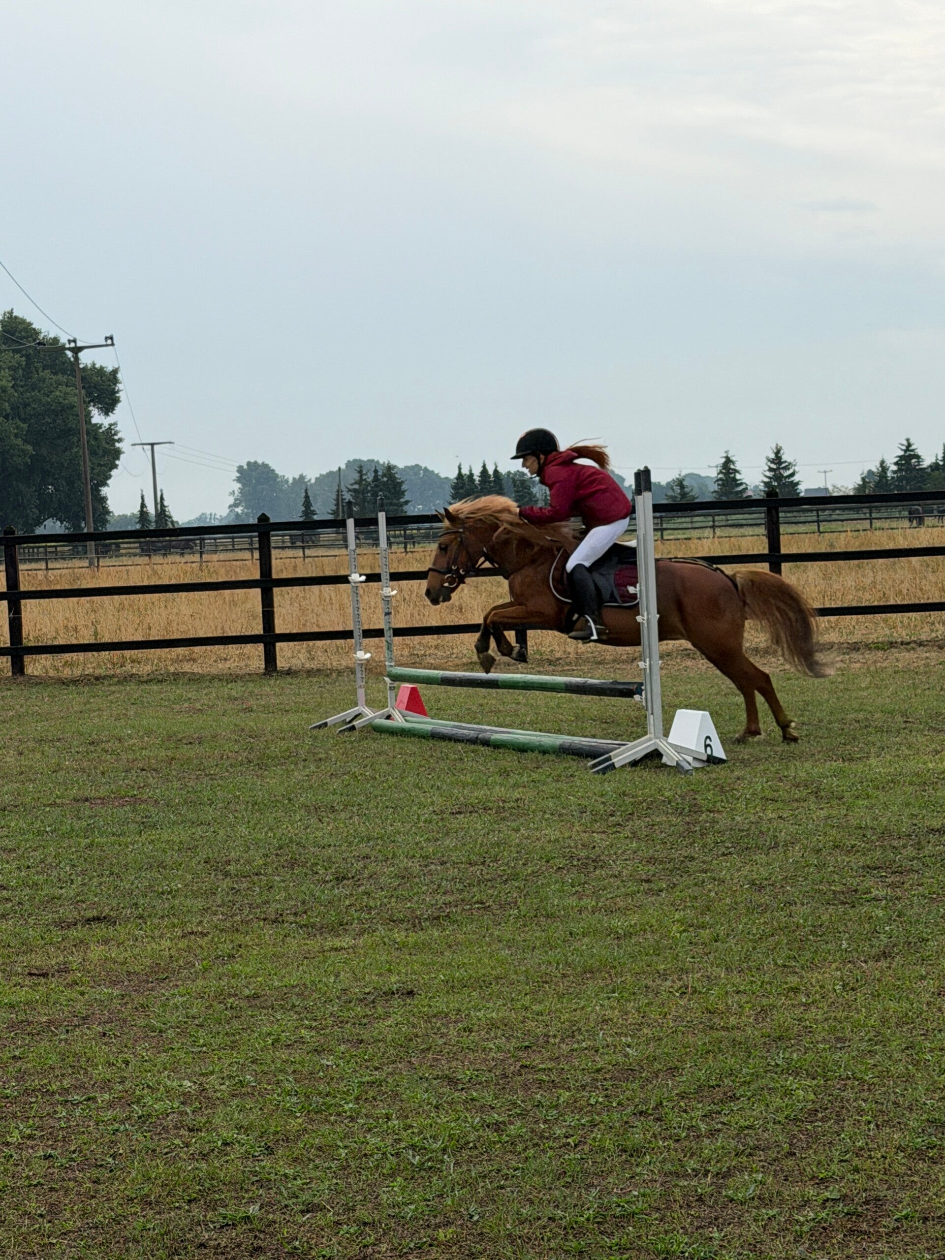 img_5786-standard-tpz1r5.jpg