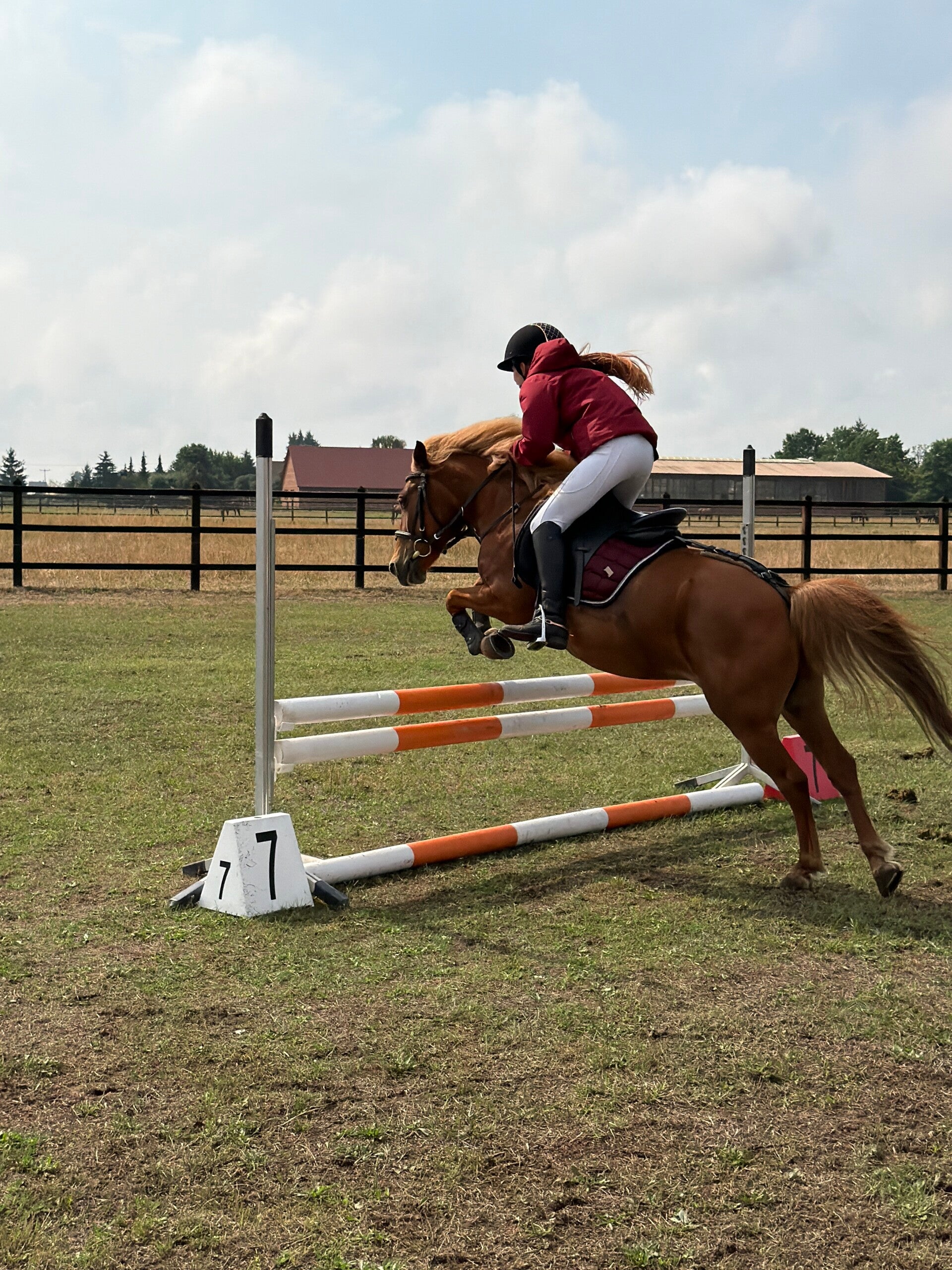 img_5918-standard.jpg