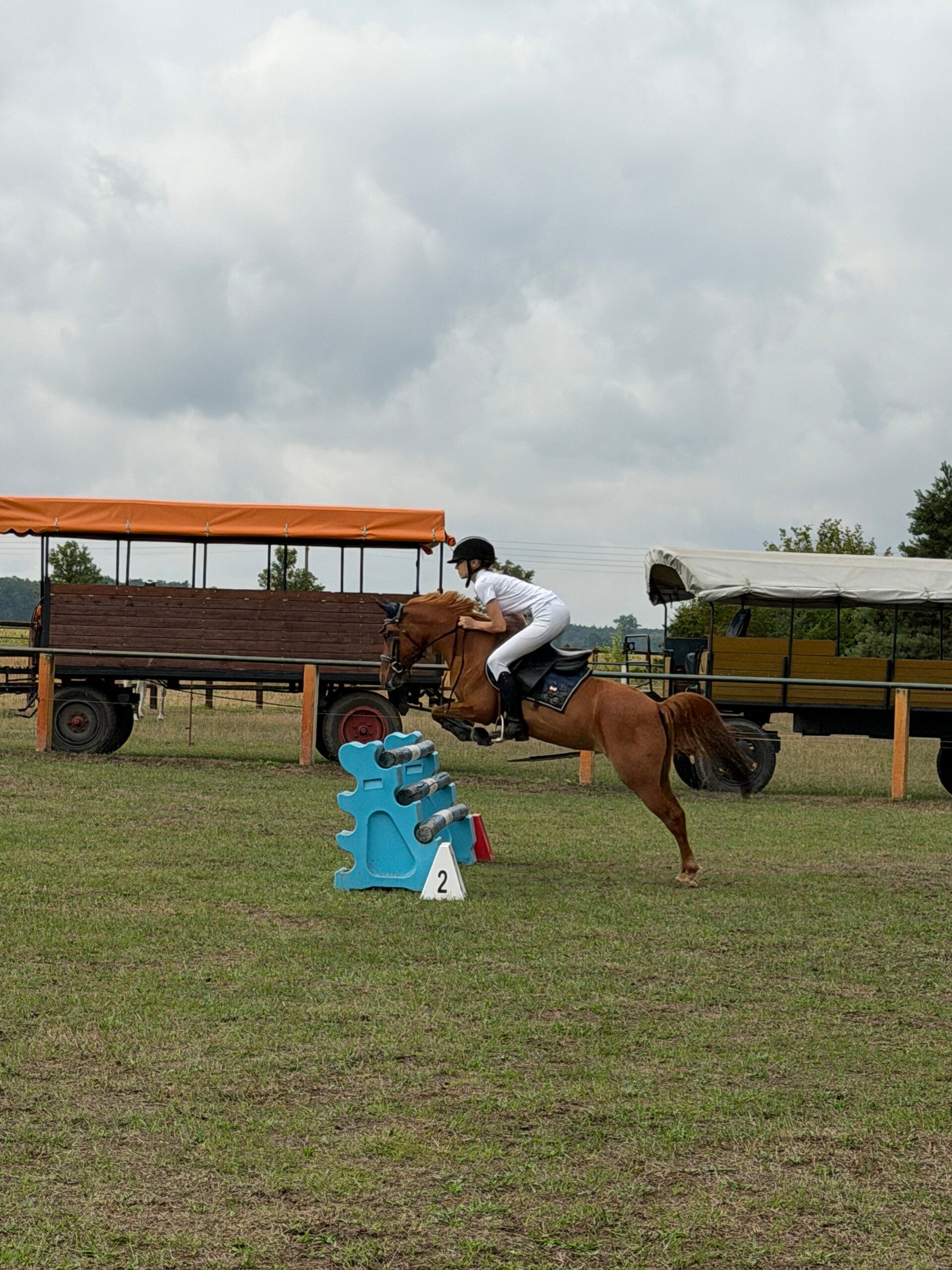 img_6068-standard.jpg