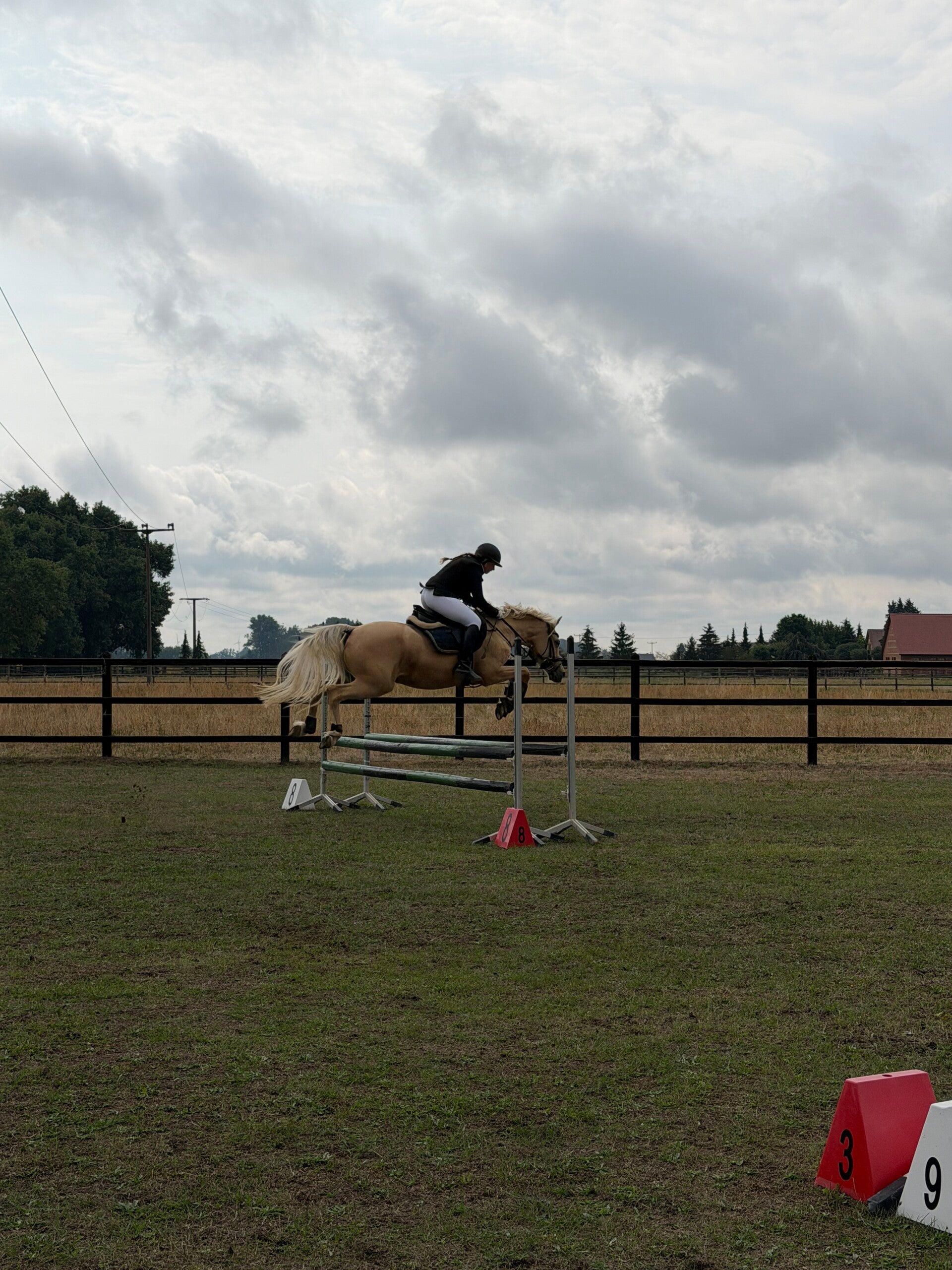 img_6098-standard.jpg