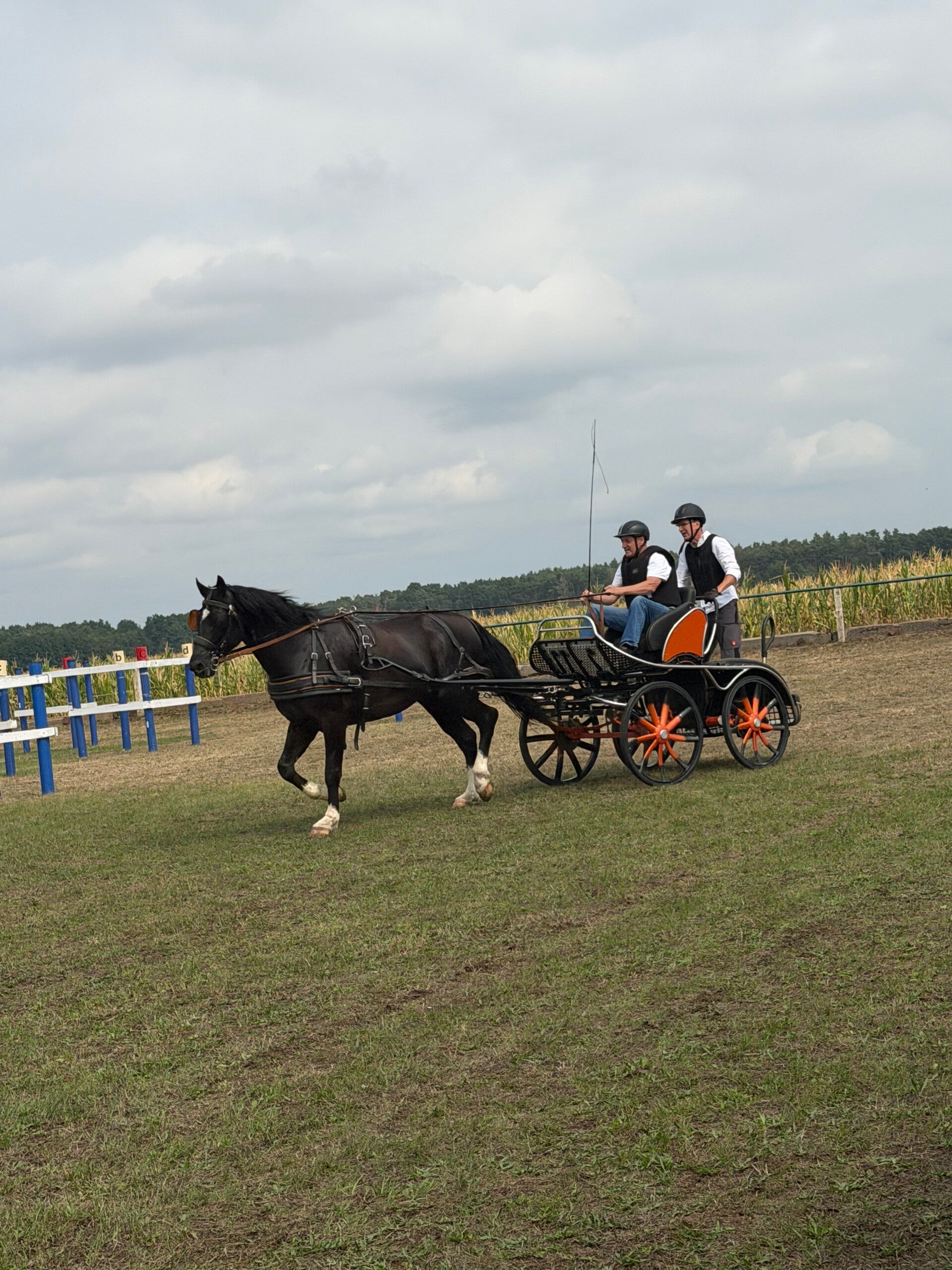 img_6196-standard-xqtulw.jpg
