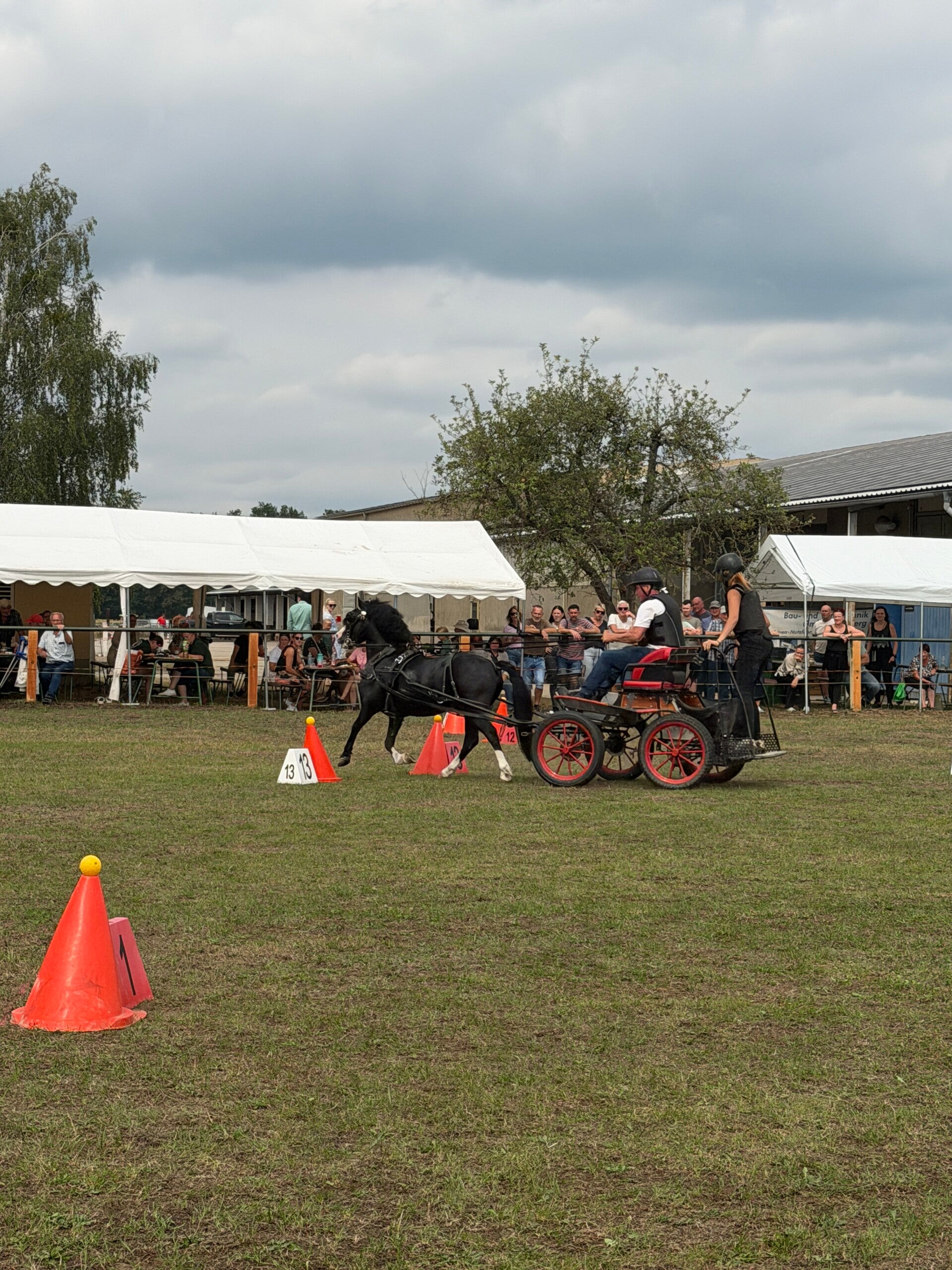img_6224-standard-r38j4u.jpg