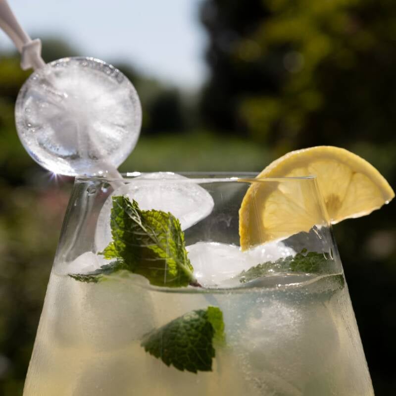 Creatieve productfotografie door FotoJeaniek: verfrissend zomers drankje Schietroen met munt, citroen en unieke ijsblokjes in het zonlicht.
