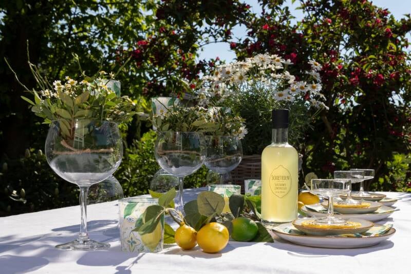 creatieve-productfotografie-schietroen-limoncello-schiedam-8-standard.jpg