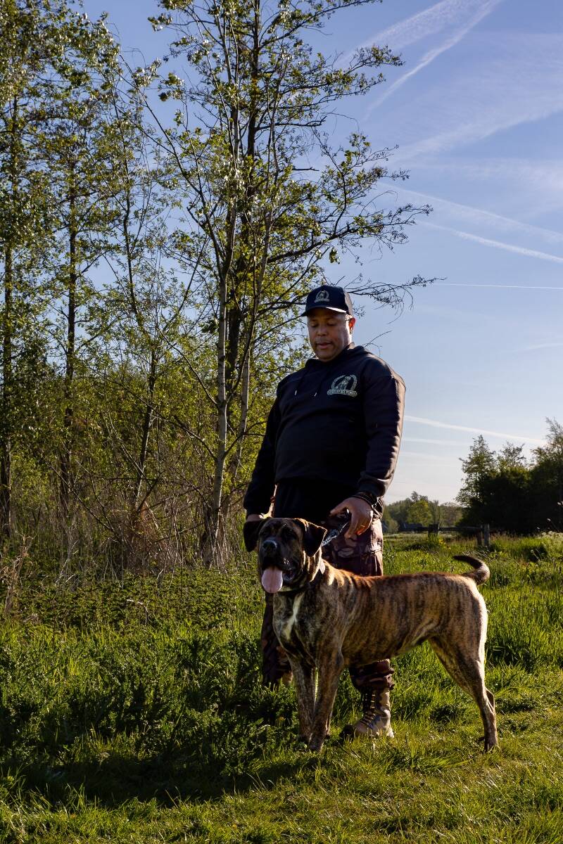 hondenfotografie-branding-preso-canario-fotojeaniek-2-standard.jpg