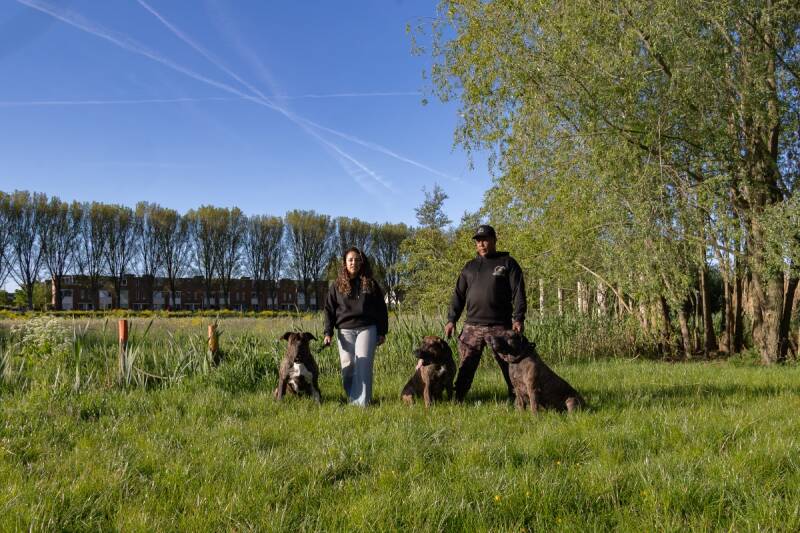 hondenfotografie-branding-preso-canario-fotojeaniek-3-standard.jpg