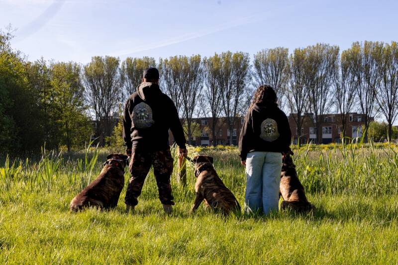 hondenfotografie-branding-preso-canario-fotojeaniek-4-standard.jpg