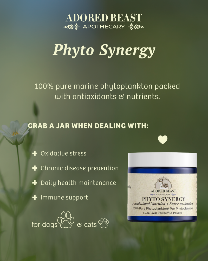 Adored Beast Phyto Synergy